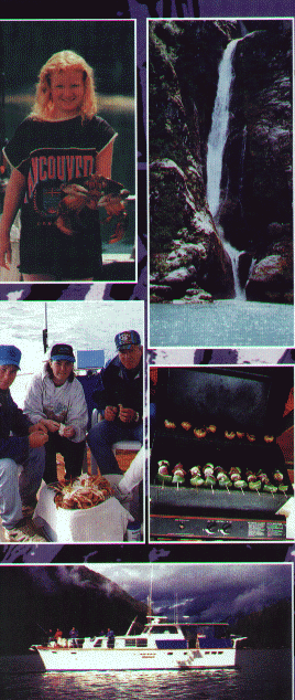 brochure cover