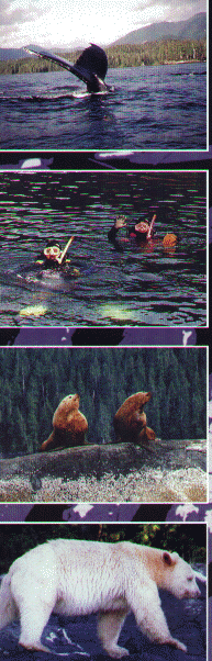 brochure cover